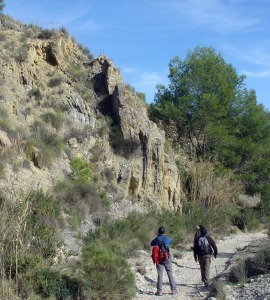 Pliegue en las margocalizas y areniscas del Cretcico inferior 