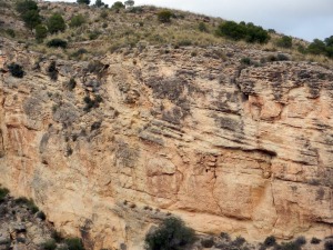 Estratificaciones cruzadas y paleobloque (centro arriba) desprendido de la parte superior del talud arrecifal.