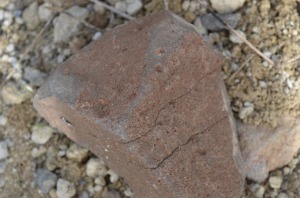 Fragmento de una lamproita con la superficie recubierta por xidos de hierro