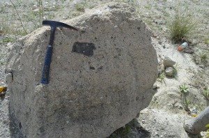Un bloque de aglomerado volcnico, con un fragmento de varios centmetros de roca lamprotica