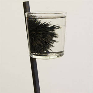 Aguanieve de Pablo Capit�n del R�o