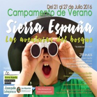 Campamento de verano 2016. Las aventuras del bosque