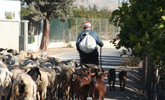 La vida en el Campo