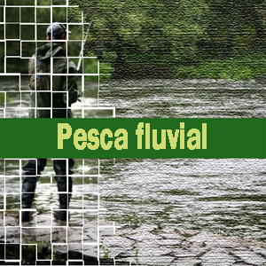 Pesca fluvial