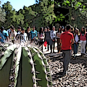 Visitas Arboretum