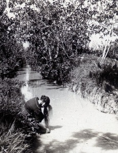 La seda. Crianza del gusano de seda y extraccin de hijuela. Archivo General de la Regin de Murcia