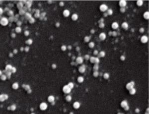  Nanopartículas de fibroína de seda de diámetro inferior a 100 nm para liberación dirigida de fármacos.