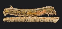 Anatomía y estructura del gusano de seda