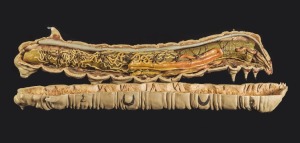 Anatoma y estructura del gusano de seda.