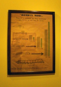 Exposicin Seda - Sala III, imagen 3