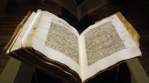 Exposicin Seda - Sala IV, imagen 8