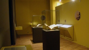 Exposicin Seda - Sala IV, imagen 14