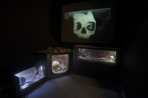 Sala de Exposicin del MAM