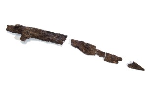 MAM X - Falcata