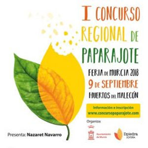 Primer concurso regional de paparajotes