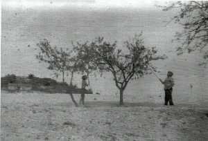 Ramn El Aguja y su nieto cogiendo almendras