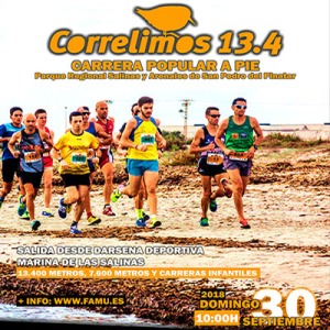 Correlimos 13.4