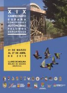 XIX CAMPEONATO ESPAA COMUNIDADES AUTONOMAS