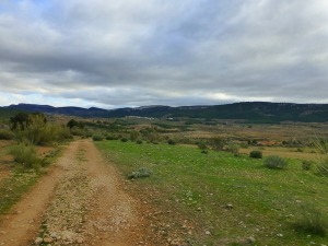 Campos de margas y areniscas cretcicas. Al fondo la pedana de Otos