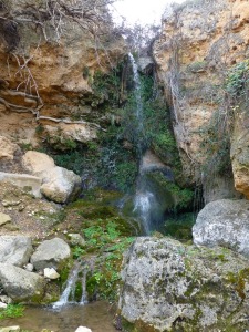 Cascada junto al Molino de Benizar