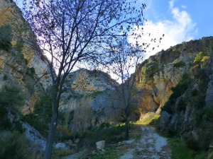 Otoo en el Rincn de las Cuevas, Benizar. El barranco del Agua hay ido socavando las rocas calcreas marinas del Mioceno inferior, formando este hermoso anfiteatro natural