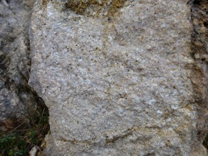 Detalle de las calizas bioclsticas que forman el Rincn de las Cuevas. Son rocas constituidas por fragmentos de conchas y caparazones de fsiles marinos, lamelibrnquios y erizos