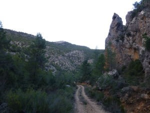 El paseo por el camino del barranco de los Corrales es muy agradable e ntimo, entre rocas dolomticas