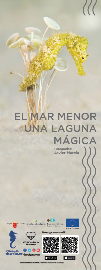 Cartel Exposición Mar Menor Cartel Exposición Mar Menor