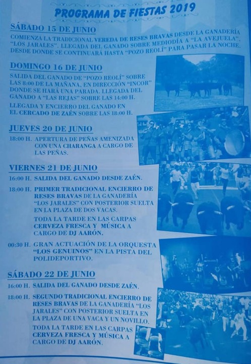 Fiestas Campo de San Juan 2019