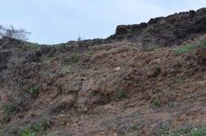 Las primeras erupciones fueron violenta y explosivas, fragmentos de rocas en la base, despus fueron ms fluidas, lava en el techo