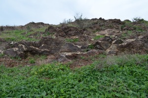 Por las grietas la roca se meteoriza y se producen precipitados de carbonatos.