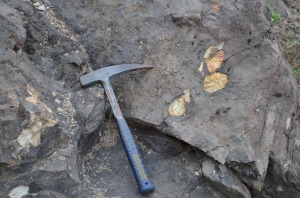 La chimenea de este volcn atraves areniscas amarillas marinas, algunos fragmentos de estas rocas fueron englobados en el magma