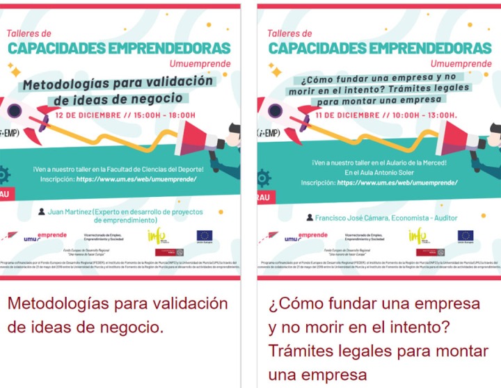 Talleres de Capacidades Emprendedoras
