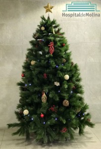 Programacin de Navidad Hospital de Molina