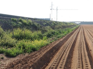 La Palma (Cartagena)