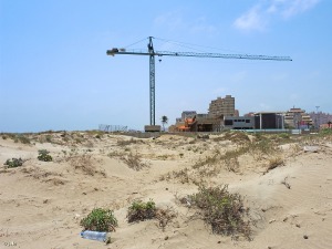 Vista hacia el sur de las dunas donde se localiza la principal poblacin murciana de zanahora marina (Echinophora spinosa), en junio de 2017