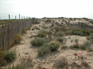 Parque Regional de San Pedro