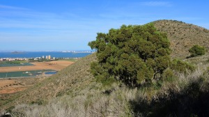 Parque Regional de Calblanque