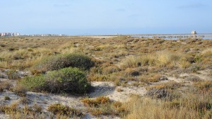 Parque Regional de San Pedro