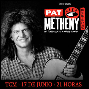 PAT METHENY