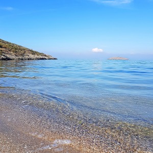 Isla del Ciervo (Cartagena)