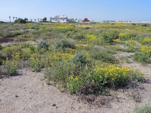 La Manga (San Javier)