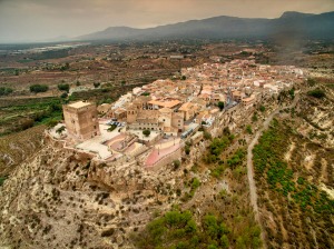 Panormica Aledo 