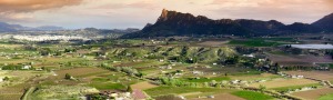 Panormica paisajstica. Cieza 