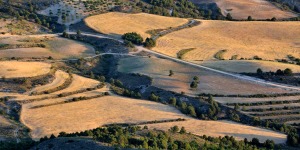 Panormica Campo de San Juan 