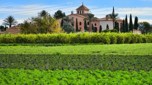 Huerta de Murcia 