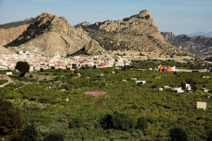 Panormica de Ricote 