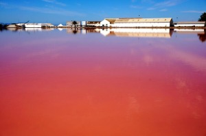 Salinas de San Pedro 