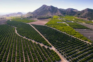 Panormica alrededores de Santomera 