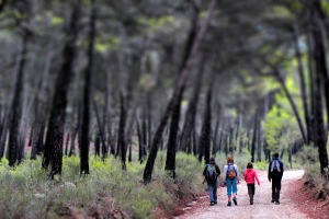 Sierra Espua. Totana 